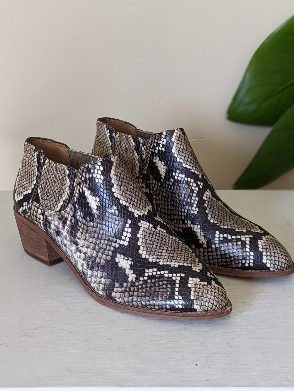 Madewell Sonia Leather Snakeskin Low Chelsea Ankle Boots Booties